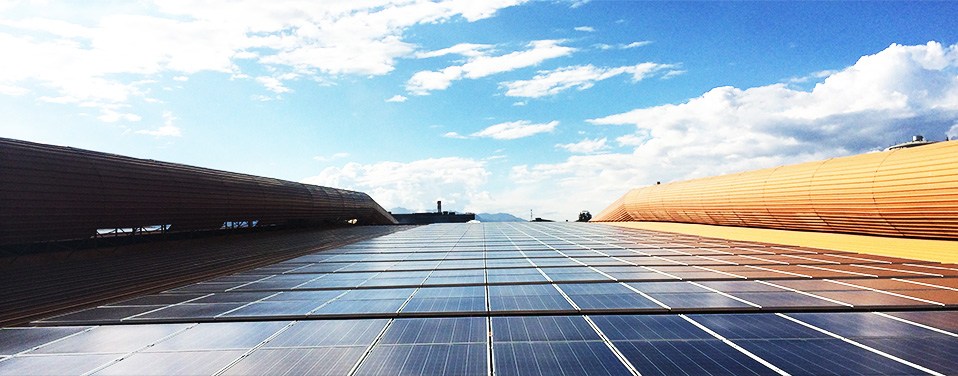 ������Ŀ