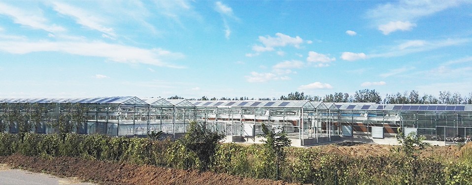 �е²�ݮ����