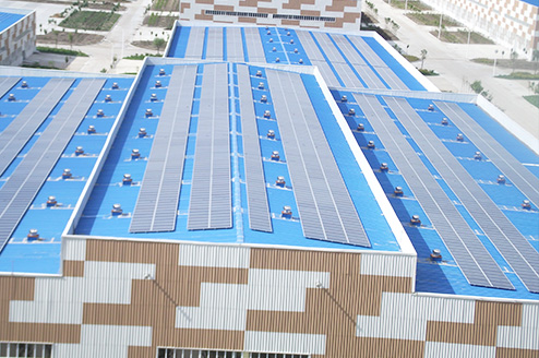 ������Ŀ