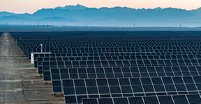 6165cc��ɳ��վ(China)������޹�˾-BinG�ٿ�