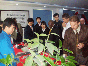 6165cc��ɳ��վ(China)������޹�˾-BinG�ٿ�